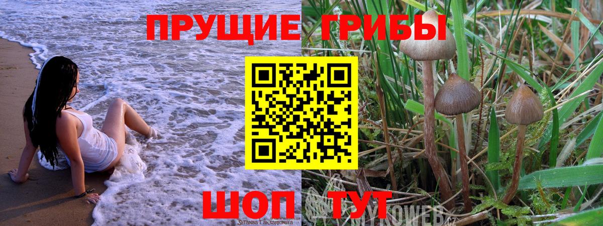 Псилоцибиновые грибы мухоморы Ногинск